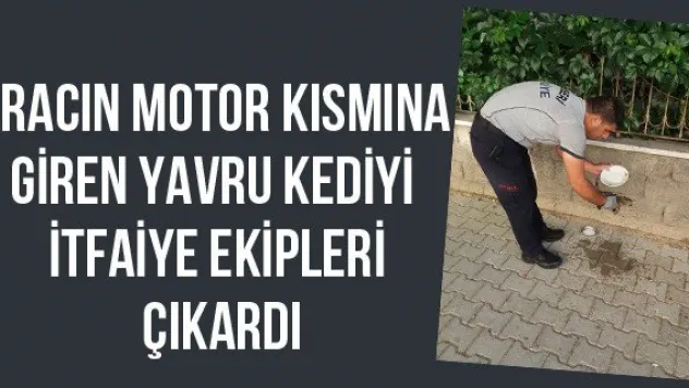 Aracın motor kısmına giren yavru kediyi itfaiye ekipleri çıkardı