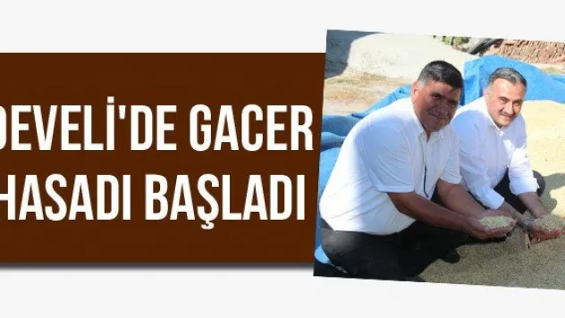 Develi'de Gacer Hasadı Başladı