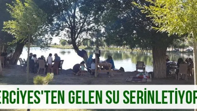 Erciyes'ten gelen su serinletiyor