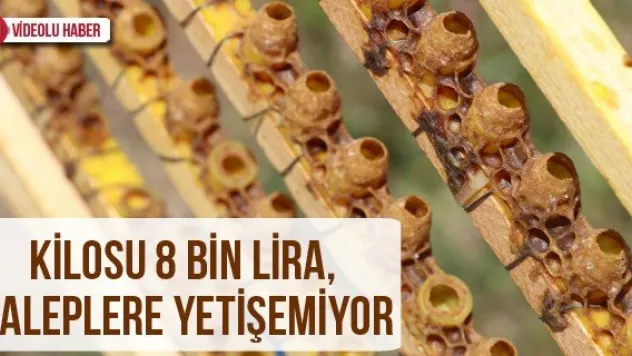 Kilosu 8 bin lira, taleplere yetişemiyor