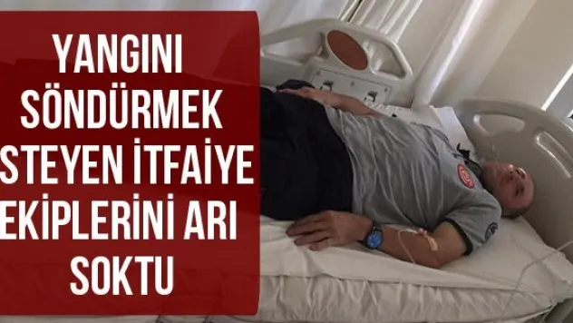 Yangını söndürmek isteyen itfaiye ekiplerini arı soktu