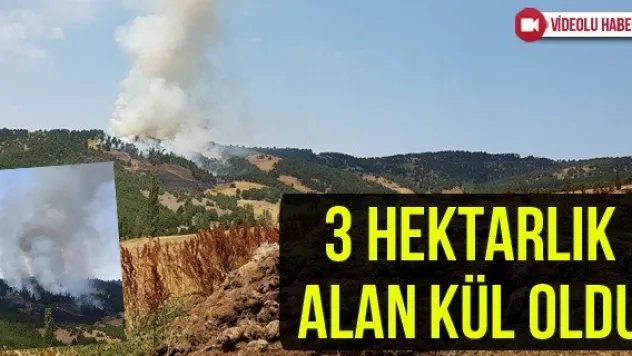 3 hektarlık alan kül oldu