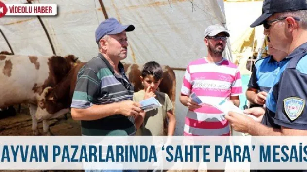 Hayvan pazarlarında 'Sahte para' mesaisi