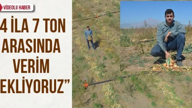 '4 ila 7 ton arasında verim bekliyoruz'