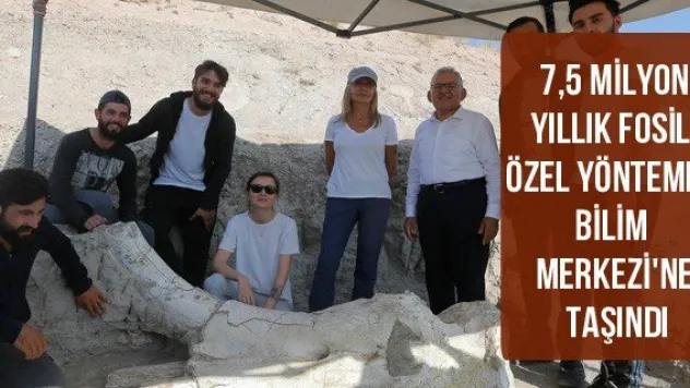 7,5 milyon yıllık fosil, özel yöntemle Bilim Merkezi'ne taşındı
