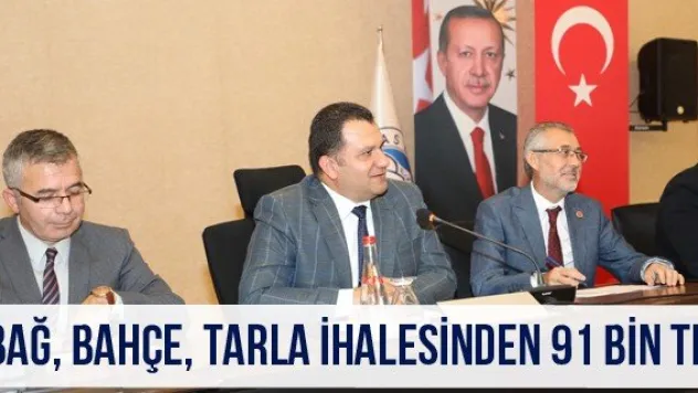 Bağ, bahçe, tarla ihalesinden 91 bin TL
