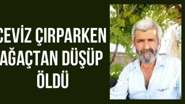 Ceviz çırparken ağaçtan düşüp öldü