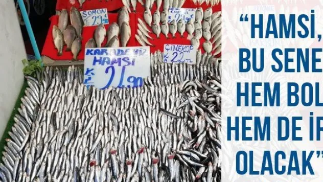 'Hamsi, bu sene hem bol hem de iri olacak'