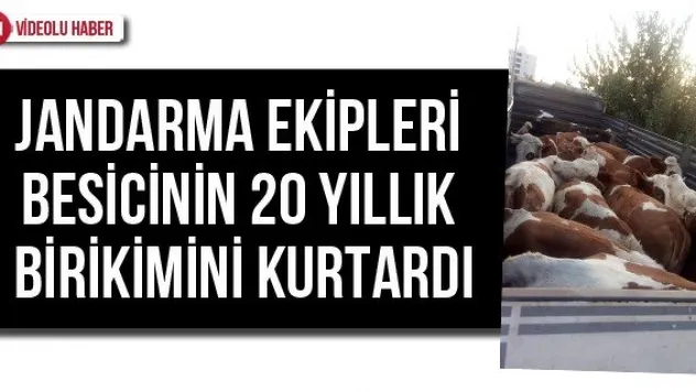 Jandarma ekipleri besicinin 20 yıllık birikimini kurtardı
