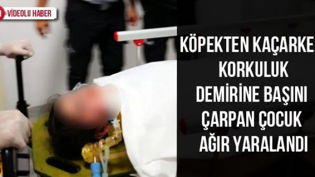 Köpekten kaçarken korkuluk demirine başını çarpan çocuk ağır yaralandı