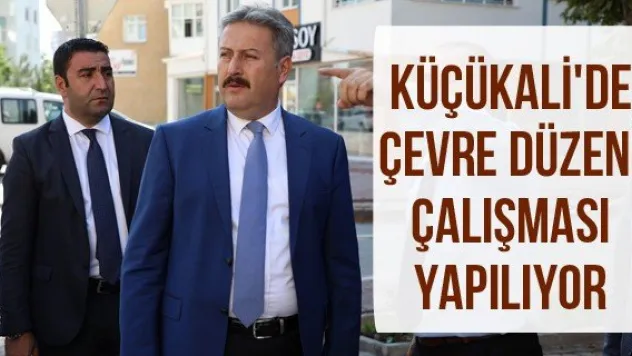 Küçükali'de çevre düzeni çalışması yapılıyor