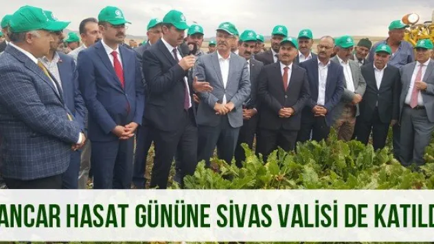 Pancar Hasat Gününe Sivas Valisi De Katıldı