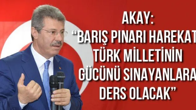 Akay: 'Barış Pınarı Harekatı, Türk milletinin gücünü sınayanlara ders olacak'