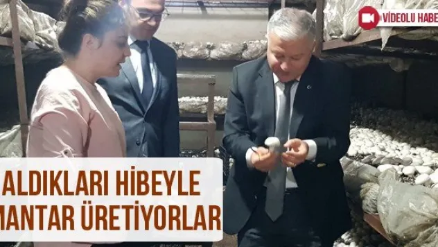 Aldıkları hibeyle mantar üretiyorlar