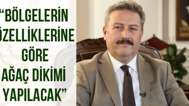 'Bölgelerin özelliklerine göre ağaç dikimi yapılacak'