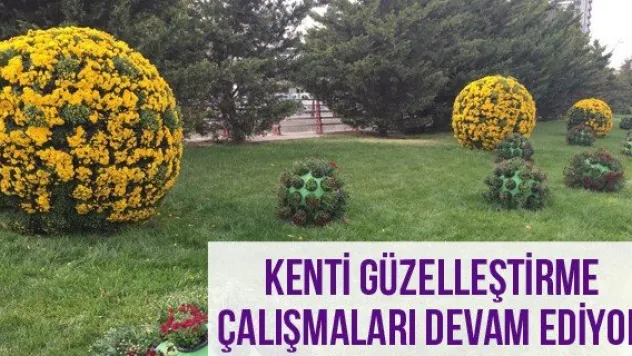 Kenti Güzelleştirme Çalışmaları Devam Ediyor