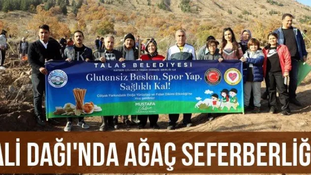 Ali Dağı'nda ağaç seferberliği