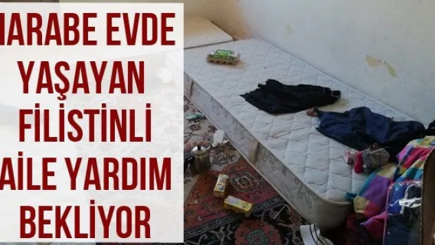 Harabe evde yaşayan Filistinli aile yardım bekliyor