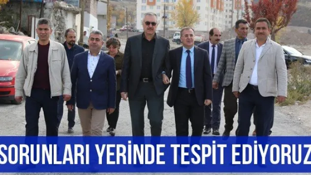 'Sorunları yerinde tespit ediyoruz'