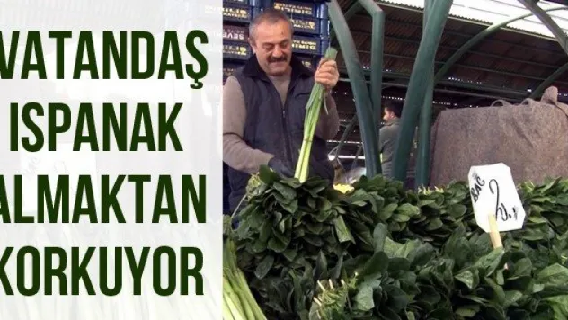 Vatandaş ıspanak almaktan korkuyor