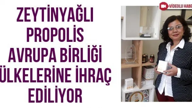 Zeytinyağlı propolis Avrupa Birliği ülkelerine ihraç ediliyor