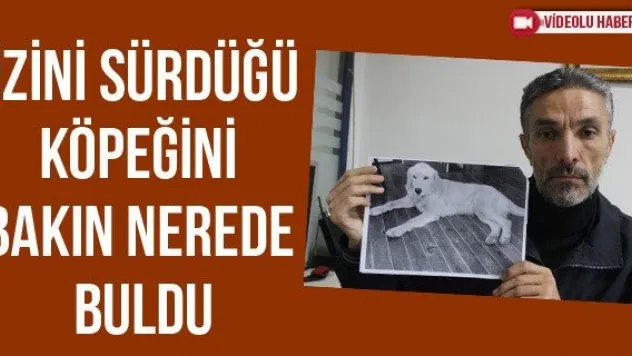 İzini Sürdüğü Köpeğini Bakın Nerede Buldu