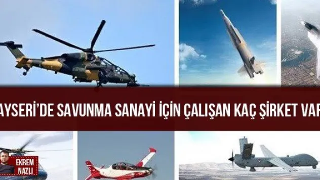 Kayseri'de Savunma Sanayi için çalışan kaç şirket var?