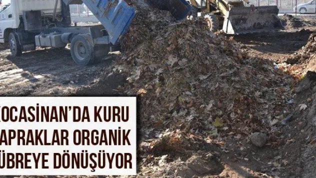 Kocasinan'da kuru yapraklar organik gübreye dönüşüyor