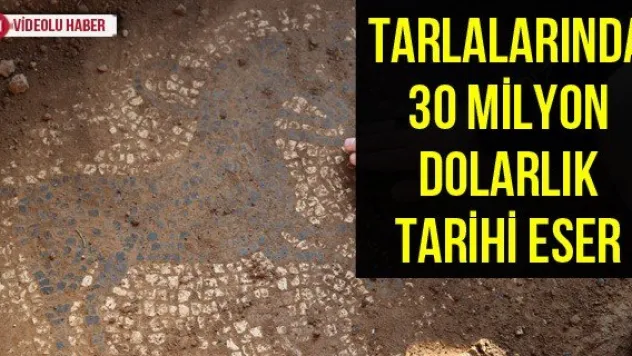 Tarlalarında 30 milyon dolarlık tarihi eser
