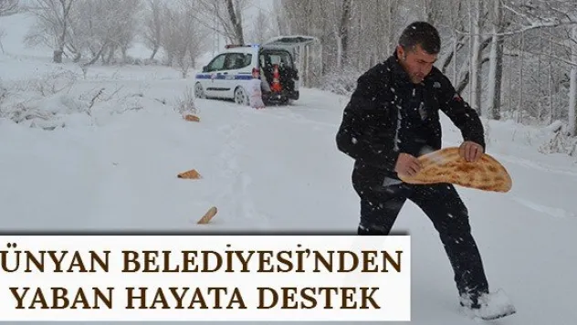 Bünyan Belediyesi'nden yaban hayata destek