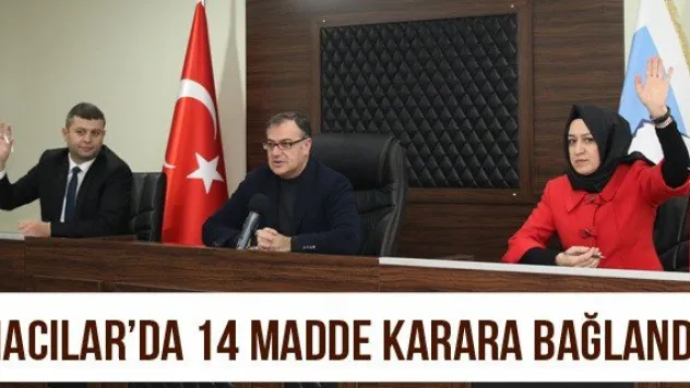 Hacılar'da 14 madde karara bağlandı