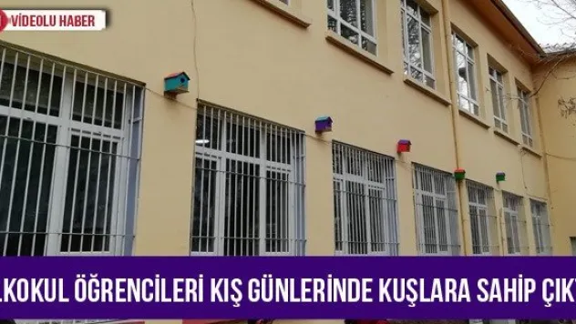İlkokul öğrencileri kış günlerinde kuşlara sahip çıktı