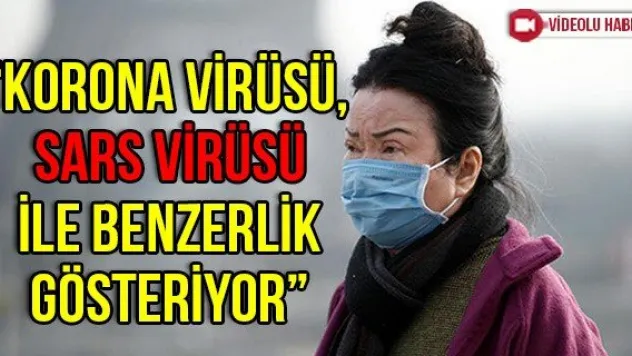 'Korona virüsü, SARS virüsü ile benzerlik gösteriyor'