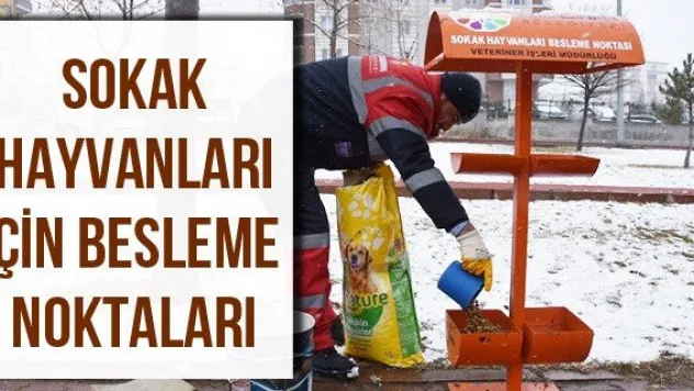Sokak Hayvanları İçin Besleme Noktaları