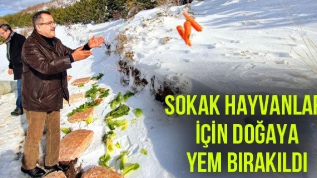 Sokak hayvanları için doğaya yem bırakıldı