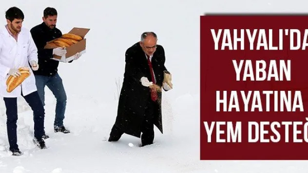 Yahyalı'da yaban hayatına yem desteği