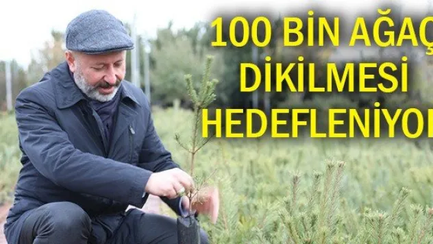 100 bin ağaç dikilmesi hedefleniyor