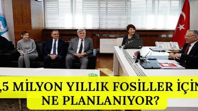 7,5 milyon yıllık fosiller için ne planlanıyor?