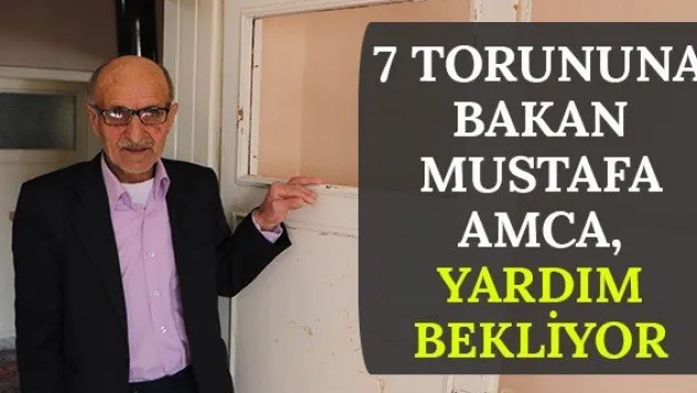 7 torununa bakan Mustafa amca, yardım bekliyor