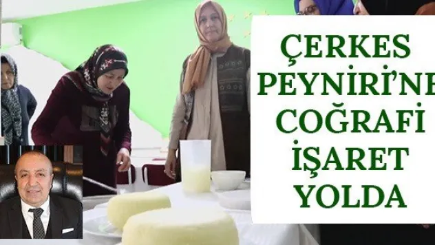 Çerkes Peyniri'ne coğrafi işaret yolda