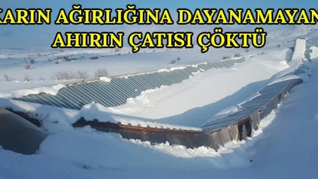 Karın ağırlığına dayanamayan ahırın çatısı çöktü