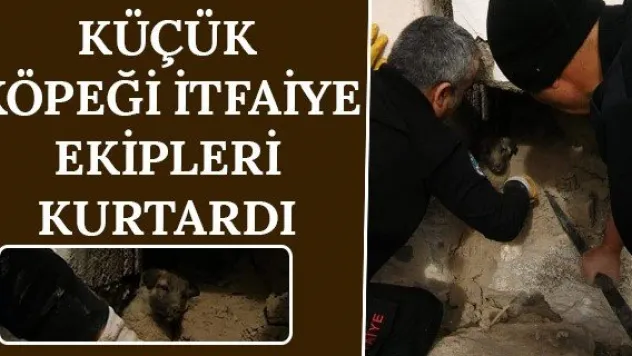 Küçük köpeği itfaiye ekipleri kurtardı