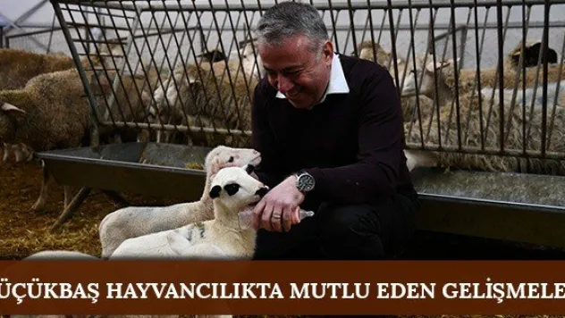 Küçükbaş Hayvancılıkta mutlu eden gelişmeler