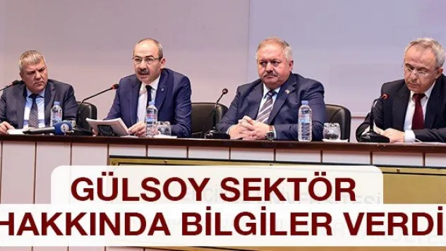 Gülsoy sektör hakkında bilgiler verdi
