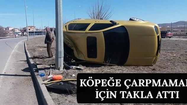 Köpeğe Çarpmamak İçin Takla Attı