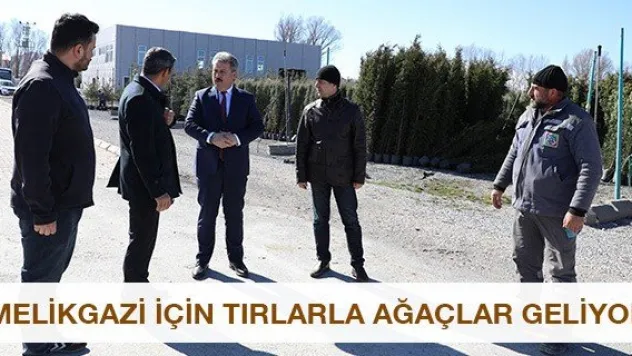 Melikgazi için tırlarla ağaçlar geliyor