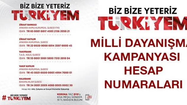 Milli Dayanışma Kampanyası hesap numaraları