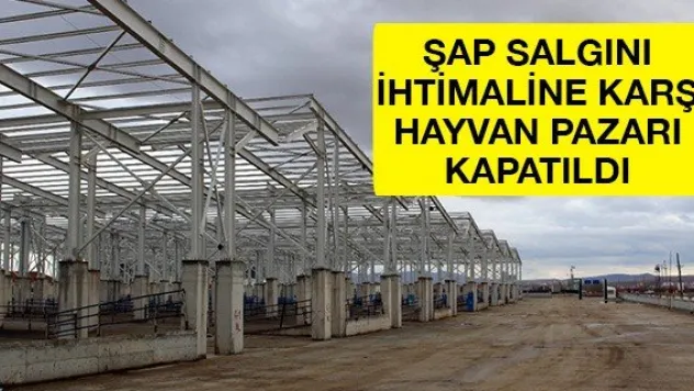 Şap salgını ihtimaline karşı hayvan pazarı kapatıldı