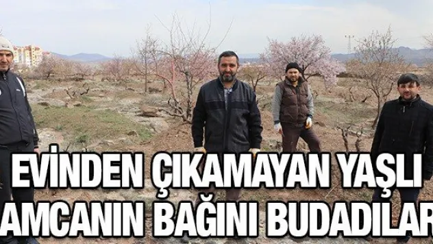 Evinden çıkamayan yaşlı amcanın bağını budadılar