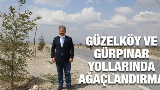 GÜZELKÖY VE GÜRPINAR YOLLARINDA AĞAÇLANDIRMA